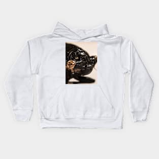 Cicada Kids Hoodie